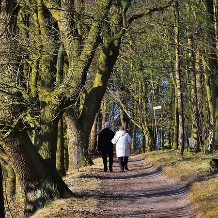 Alter Ortskern * Worpswede